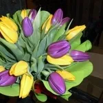 Тюльпаны к 8 марта в Минске, недорого