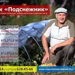 Парник подснежник купить в Минске. Скидки,  распродажа