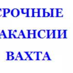 Требуются для работы в РФ.