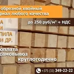 Закупаем пиломатериал хвойных пород в Беларуси