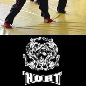 Школа боевых искусств 