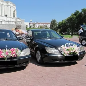 Прокат VIP-автомобилей,  любое авто для вашего праздника.Цены вас прият