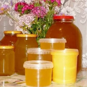 Натуральный мед белорусского качества оптом с частных пасек от 3$/кг