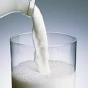 молоко и молочная продукция