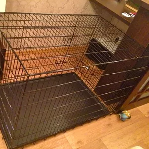 Клетка для собак в аренду