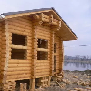 Строительство деревянных домов,  бань под ключ