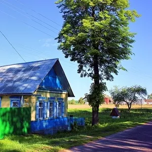 Продам добротный дом с участком в Гомельской области у Днепра.