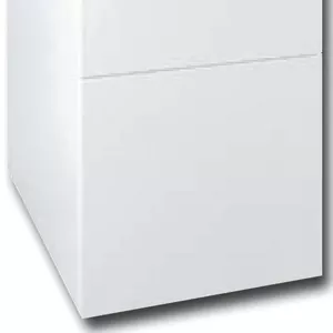 Газовый котел Protherm Медведь 50 KLZ