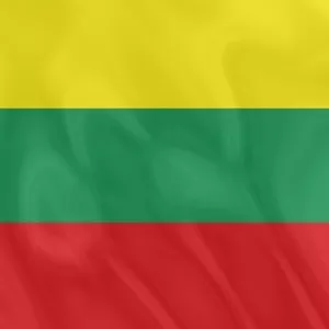 Национальная литовская виза категории D,  360/360
