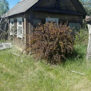 Дом в деревне недорого,  Смолевичский район,  Московское направление