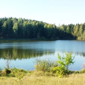 Коттедж на берегу озера недалеко от Минска по Раковскому шоссе