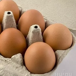 Яйца домашние,  крупные,  свежие 