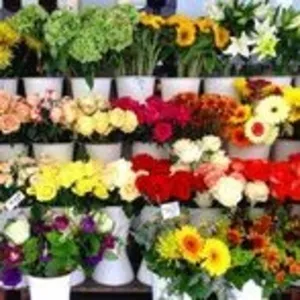 Продается прибыльный магазин цветов.