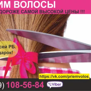 Покупаем волосы в Минске. Высокие цены.
