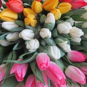 Букеты из тюльпанов к 8 марта