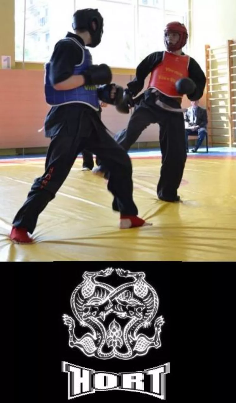 Школа боевых искусств 