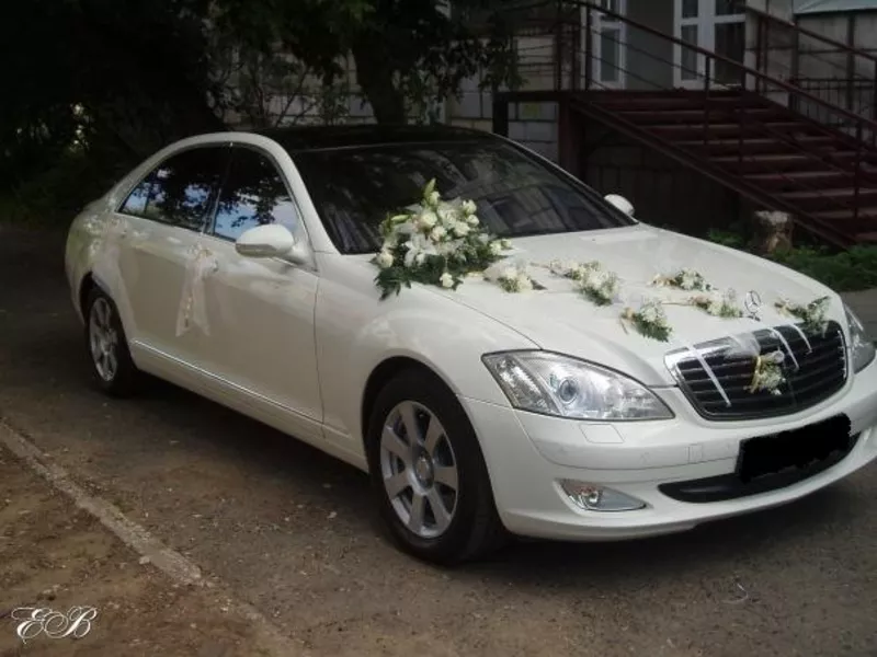 Свадебный кортеж,  машины для свадьбы минск, Прокат VIP автомобилей тран 2
