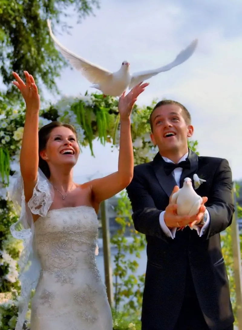 Голуби на свадьбу (любое количество птиц)