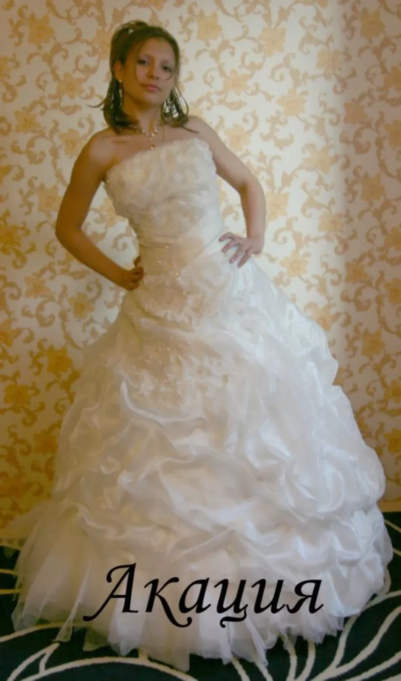 свадебные платья для невесты.фраки и смокинги жениху 14