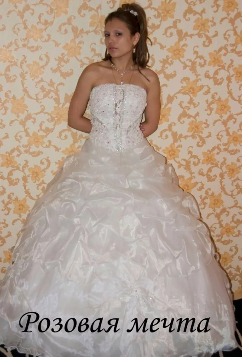 свадебные платья для невесты.фраки и смокинги жениху 37