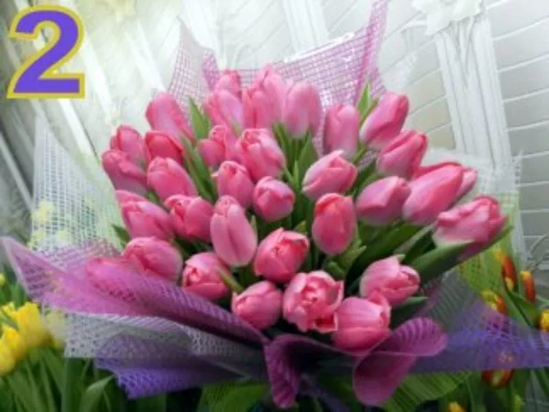 Тюльпаны к 8 марта в Минске, недорого 2