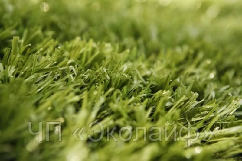 Искусственная трава Минск