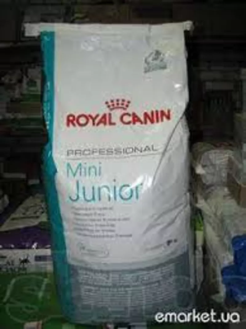 Royal Canin mini yunior