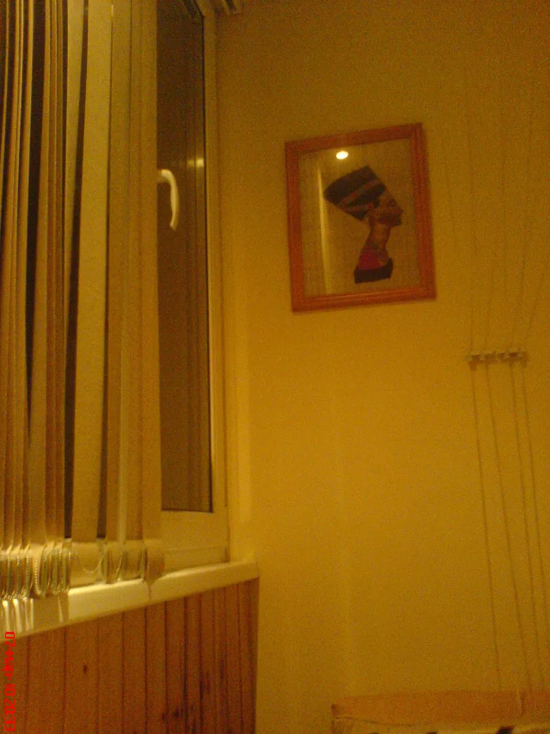 Меняю однокомнатную квартиру в М.О на квартиру в Минске 13