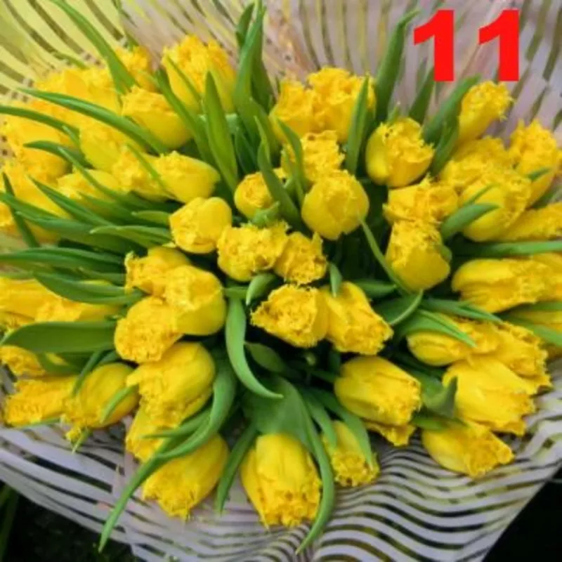 Тюльпаны к 8 Марта в розницу 16
