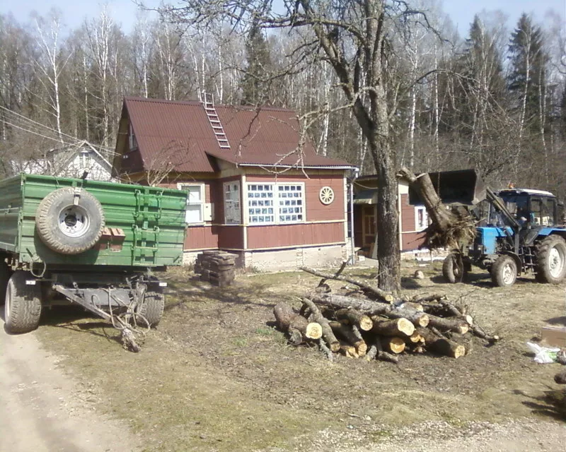 Спилить дерево,  выкорчевать пень - Услуги в Минске