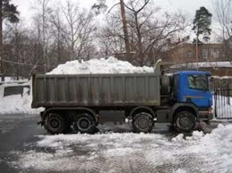 Аренда самосвалов 20-30т,  вывоз мусора,  грузоперевозки самосвалами 3