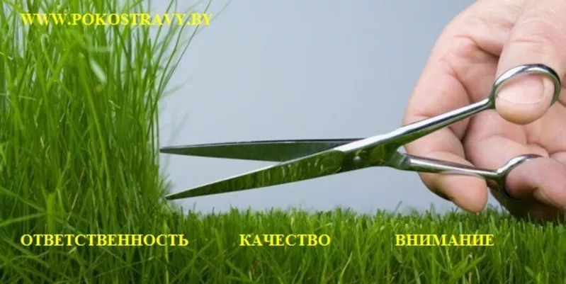 Стрижка газона в Минске,  покос травы
