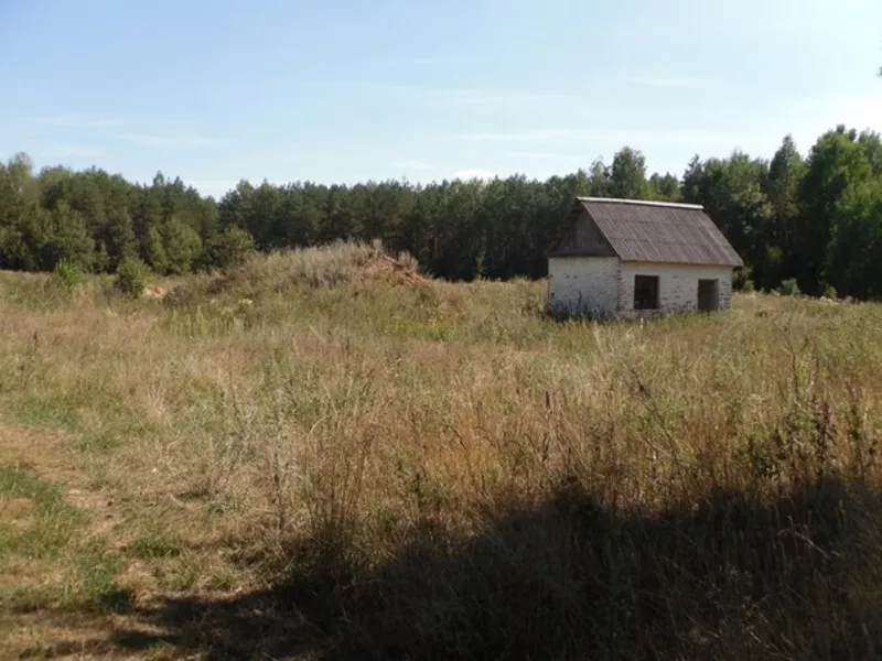 Земля в собственность. Для бизнеса,  для жизни. 8