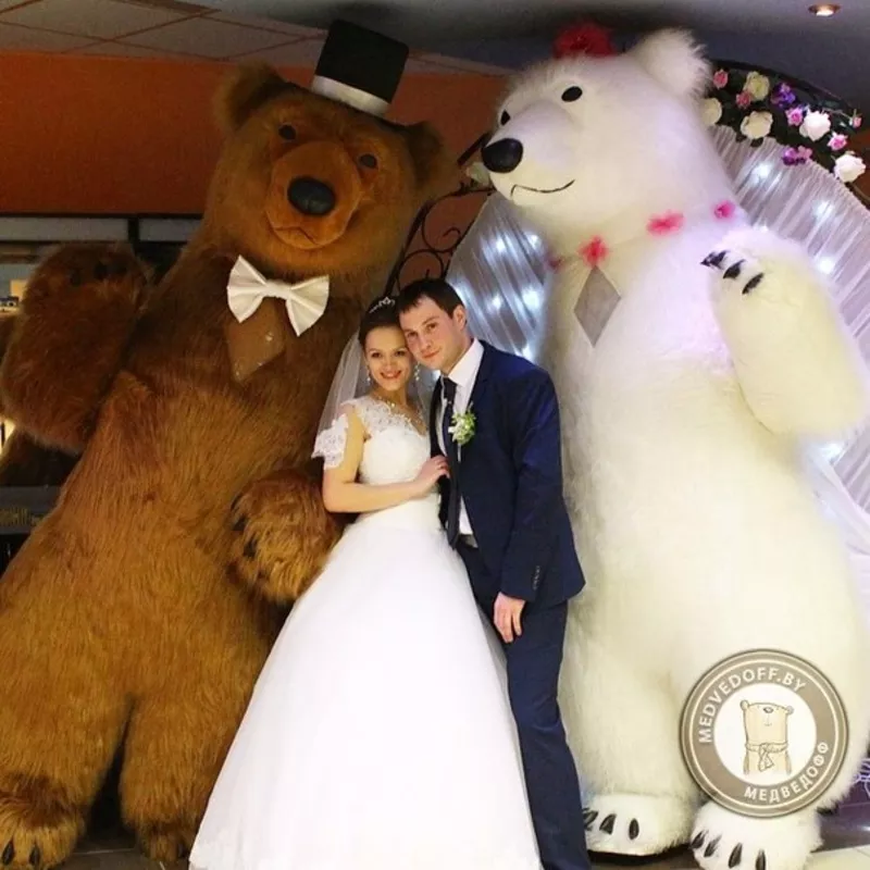 Большие Медведи панда на свадьбу день рождения встречу гостей 2