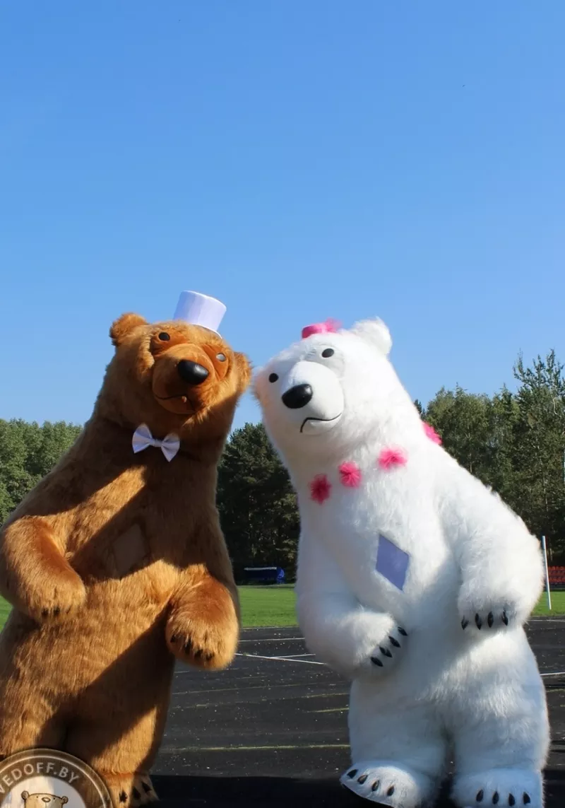 Большие Медведи панда на свадьбу день рождения встречу гостей 5