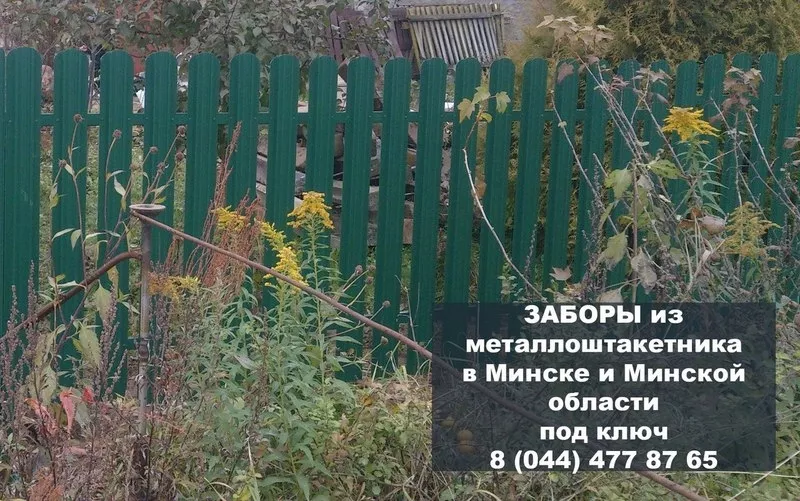Забор из Металлопрофиля и профнастила Под Ключ в г.Минск и Минской обл 4