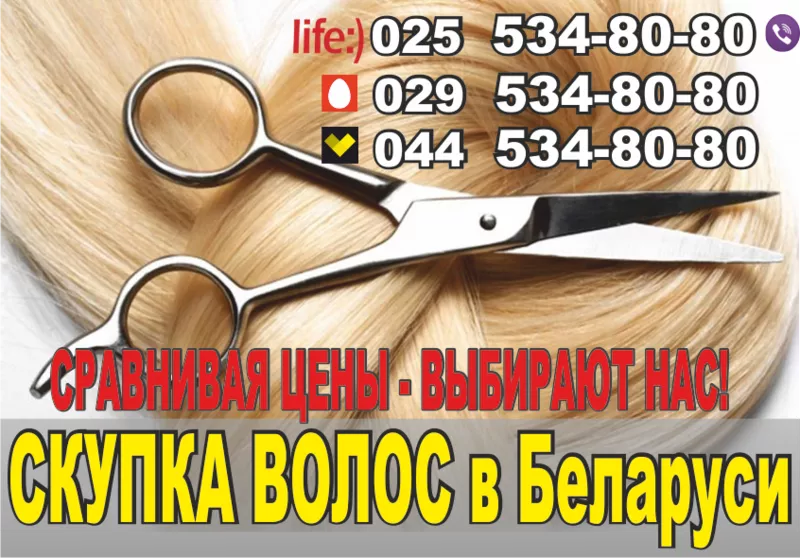 Скупка волос в Минске. Покупаем волосы дорого.