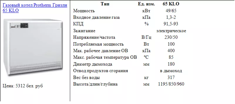 Газовый котел Protherm Гризли 65 KLO 2