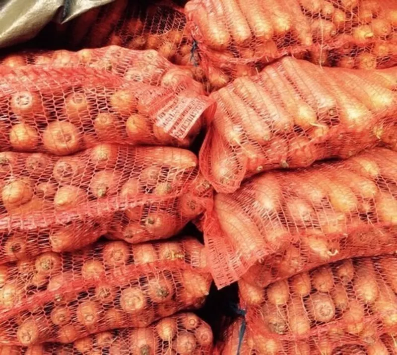 Морковь урожай 2017 оптом от производителя