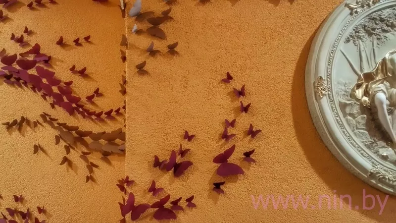 Бабочки на стене 2