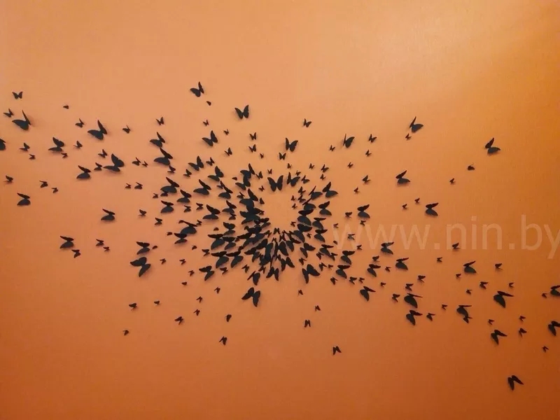Бабочки на стене 4