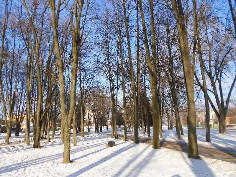 новостройка в центре 70 кв.м. отличный ремонт в каркасно-блочном доме  19