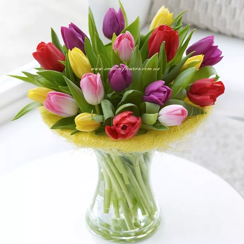 Продажа цветов к 8 марта: крокусы,  примулы,  тюльпаны 3