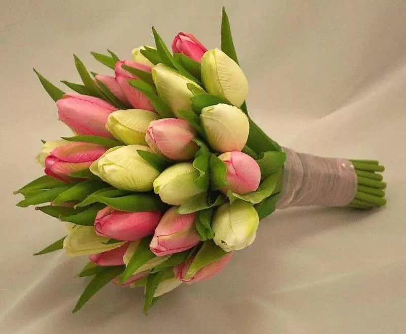 Цветы. Голландские Тюльпаны к 8 марта оптом от производителя. 8