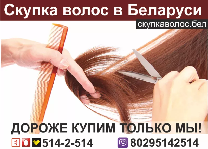 Продать волосы в Минске.