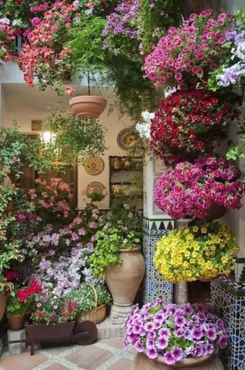 Цветы для украшения Вашего сада и балкона 2
