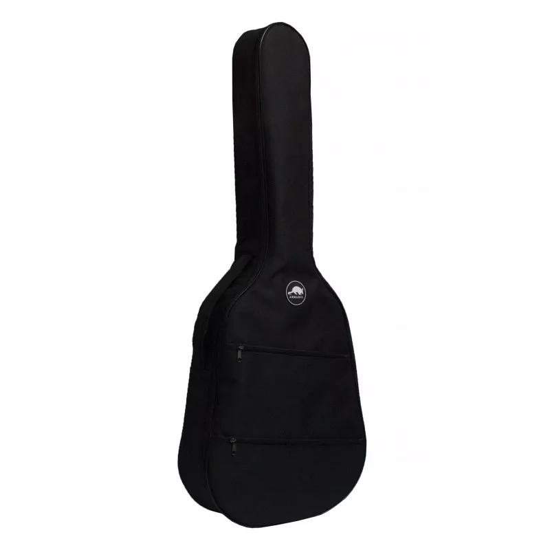 Акустическая гитара Epiphone PRO-1 с чехлом 2