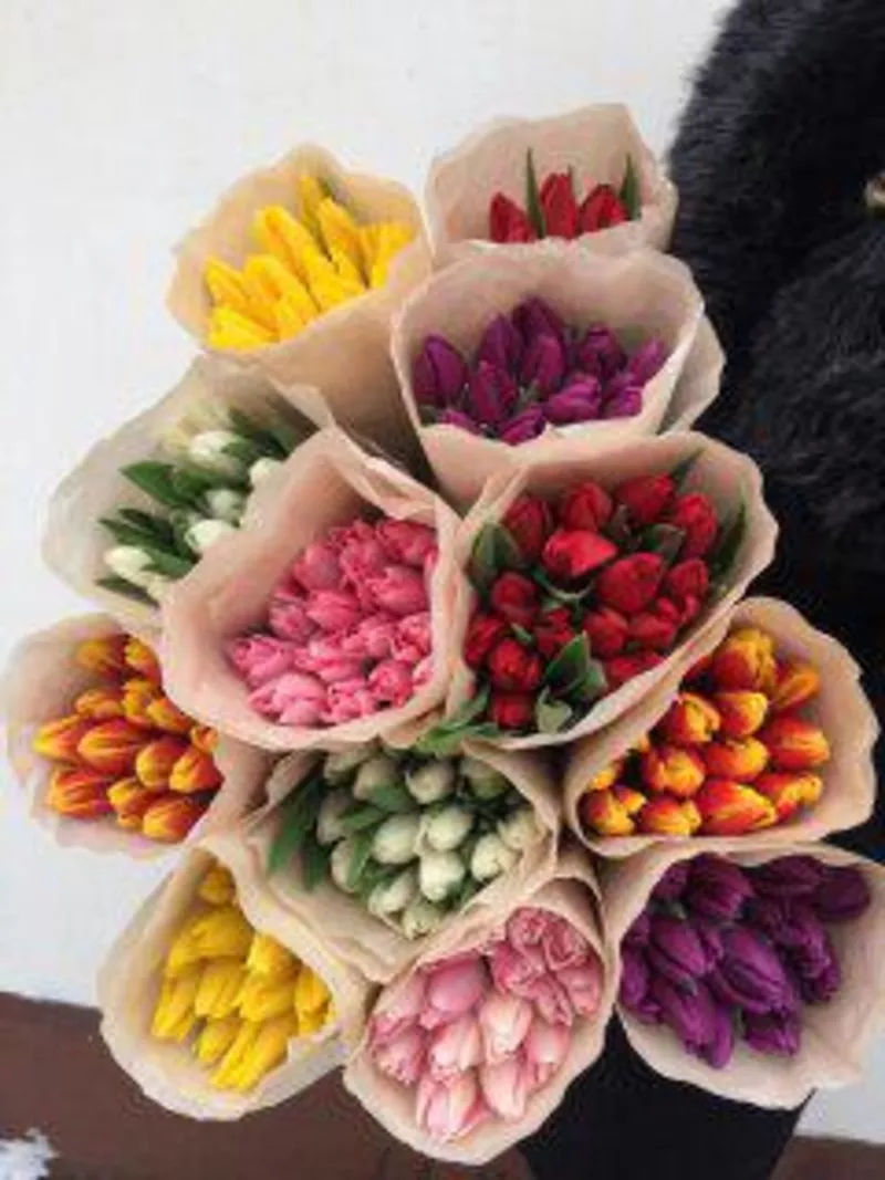 Цветы к 14 февраля и 8 марта.  Крокусы,  примулы,  гиацинты,  тюльпаны. 3