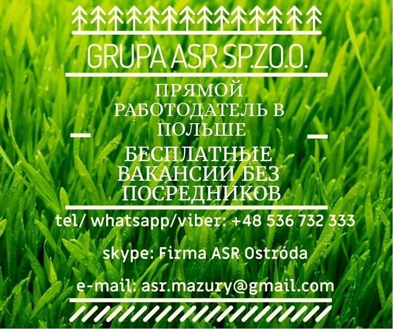Прямой работодатель в Польше Grupa ASR sp.zo.o. Бесплатные вакансии.