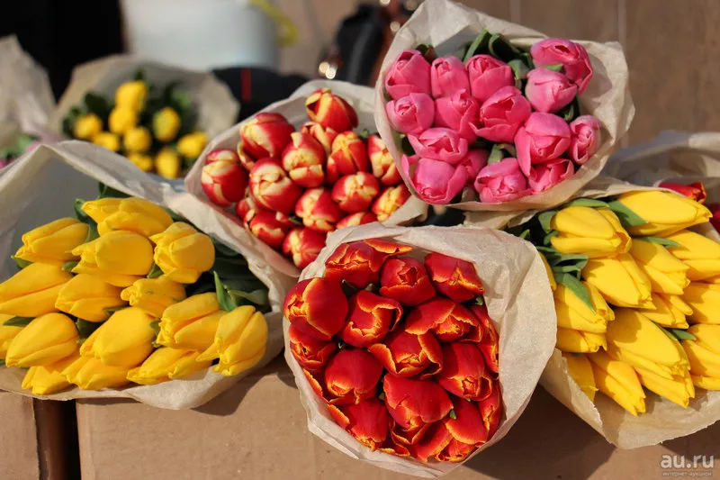 Тюльпаны выгодно оптом и в розницу в Минске 2